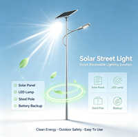 Lampe Intelligente Hybride Éolienne et Solaire Intégrée pour Route et Extérieur YD-TYN-11