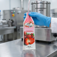 Emballage pour jus de fraise en sachet injecté, matériau blanc, finition brillante, pour eau, emballage irrégulier