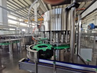 Machine à boissons monobloc automatique pour bouteilles en plastique pour le lavage de l'eau potable capsulage moteur à engrenages de riz liquide visqueux