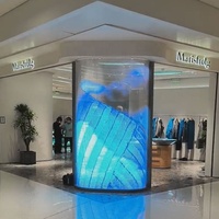 Affichage LED transparent flexible à vision claire pour la décoration visuelle des halls d'hôtel