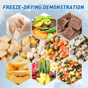 Prix réduit d'approvisionnement d'usine prix de la machine de lyophilisation de petite taille petit - Product Image 5