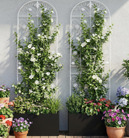 Lot de 2 treillis de jardin en métal blanc robuste anti-escalade pour les amateurs de fruits tropicaux et les passionnés de brassage maison