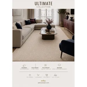 Tapis d'intérieur Petra Ultimate 20219 en polypropylène beige clair, à poils de 11-15 mm, adapté aux animaux domestiques, pour zones à fort trafic, idéal pour salon et couloir - Product Image 3