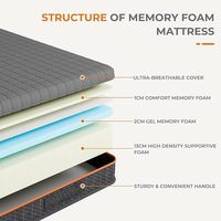 Hochdichte Gel-Memory-Foam-Matratzenauflage mit Massagetextur, Lavendel-Infusion, Belüftung, 25 cm Dicke, Bezug für Wohnmöbel