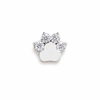 Boucles d'oreilles clous en titane ASTM F136 G23 avec motif patte de chat et zircon cubique, filetage interne, unisexe, pour piercing cartilage, hélix, tragus