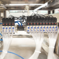 Automatische 10-kops pneumatische zuiger vloeistofvulmachine voor dranken, zeep, detergent & olie, roestvrij staal 304, glazen flessen