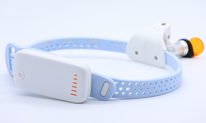 Nuevo FURIEN SMILE, Lámpara LED Dental Portátil, Foco de Acero Eléctrico con 5 Modos, Certificación CE, 1 Año de Garantía, Clase I - Product Image 6