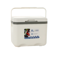 Nouvelle arrivée vente en gros PP boîte à lunch poisson Camping étui rigide bouteille pique-nique livraison de nourriture vin thermique glace déjeuner sac isotherme boîte