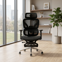 Chaise de bureau pivotante ergonomique moderne en maille respirante avec support dorsal, cadre en plastique, base en nylon, réglable pour bureau, maison et salle de sport