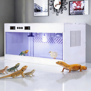 Boîte d'élevage rectangulaire en PVC écologique avec cadre en alliage léger et lisse pour reptiles, terrarium pour serpents et tortues - Product Image 2