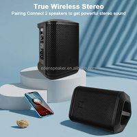 Enceinte Bluetooth Haute Puissance HiFi Audio, Radio Passive, Système Sonore de Cinéma Maison, USB XLR, Enceinte Karaoké