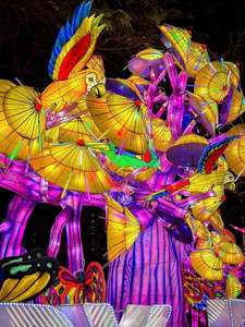 ไฟวันหยุดใหญ่โคมไฟ<span class=keywords><strong>สวน</strong></span>สัตว์กลางแจ้งแสดงผลสวนพฤกษศาสตร์ไฟวันหยุดผู้ผลิตออกแบบได้ตามต้องการ - Product Image 6