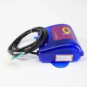 Low price 500mg per hour ozone generator for water spa bath pool