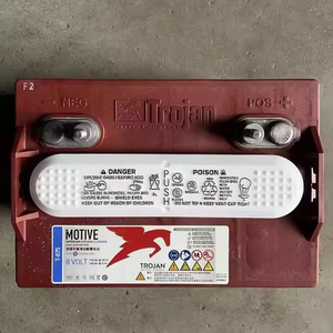 Năng lượng Trojan 6V 8V 12V pin Qiu Jian Trojan pin chai T105/125/1275/145/875 cộng với Xe tham quan ngập sâu chu kỳ - Product Image 2