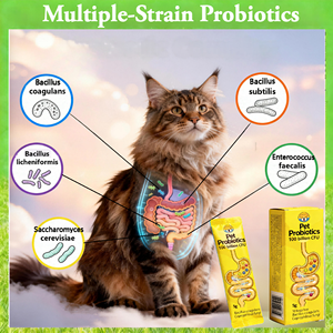 Probióticos en Polvo Más Vendidos de Fábrica para Perros y Gatos - Apoyo Inmunológico, Salud Digestiva, Salud del Pelo y la Piel, Absorción Rápida - Product Image 3