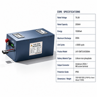 Batteries lithium-ion 76,8 V 200 Ah, 15360 Wh, batterie lithium 76,8 V, IP65, communication CAN pour tricycle et moto électriques