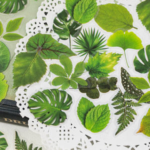 40 pcs/pack PET Sticker Pack Twenty-four Years of Dream Series Simulation Leaves Theme Handbook Valley Beauty DIY Decorative - Product Image 3