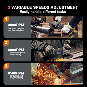 Maxxt - Product Image 4