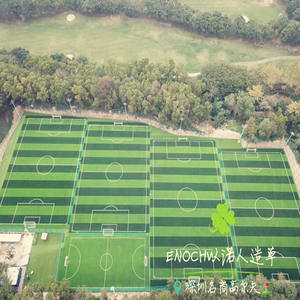 Échantillon gratuit en gros <span class=keywords><strong>gazon</strong></span> synthétique <span class=keywords><strong>de</strong></span> football <span class=keywords><strong>gazon</strong></span> synthétique football futsal <span class=keywords><strong>gazon</strong></span> artificiel à vendre - Product Image 4