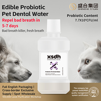 Solution de rinçage buccal sans alcool pour animaux de compagnie, haleine fraîche, protection des gencives, nettoyage oral quotidien pour animaux de compagnie