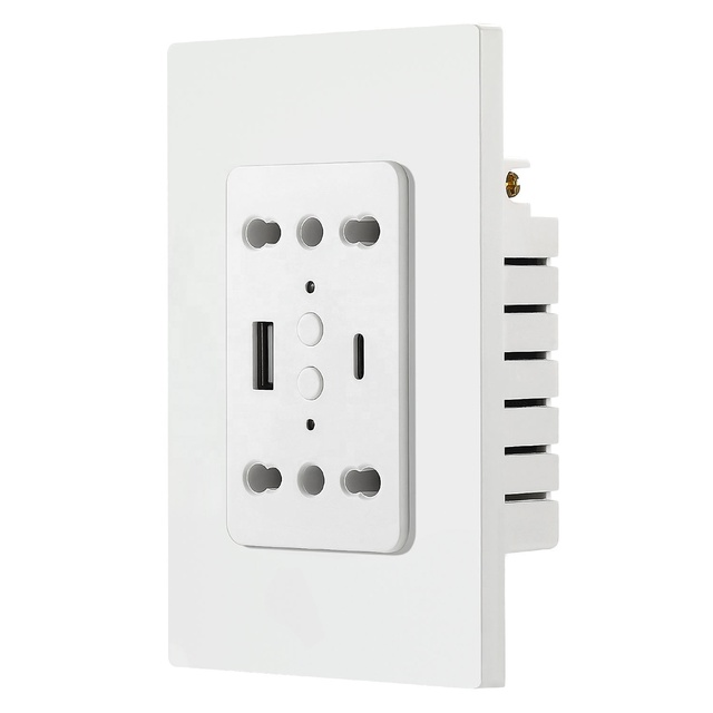 New Product 2 USB Ports Wifi Socket Smart Home WiFi Wall Socket by Tuya Smartlife