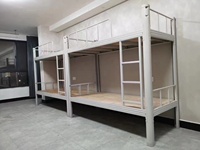 Lit superposé double en acier personnalisé en gros, moderne, pour dortoir, hôpital, école, auberge, salon, chambre à coucher, écologique