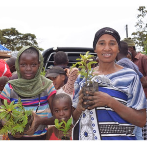 Confezione da 500 vasetti per piantare alberi, piantiamo 5000 alberi in più - Product Image 1