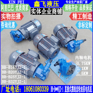 Unité moteur-pompe à engrenages enfichable Xin Fei série BB en fonte avec réglage de pression pour la lubrification des machines-outils - Product Image 3