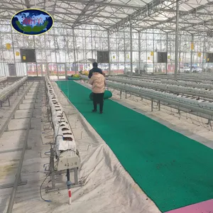 Folha de policarbonato efeito estufa agricultura hidropônica plantio feita na china