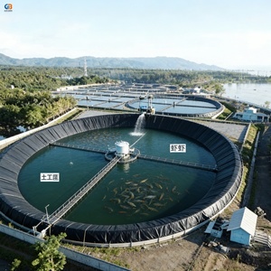 แผ่นรองบ่อ<span class=keywords><strong>ปลา</strong></span>ทิลาเปีย HDPE Geomembrane หนา 1 มม. สำหรับขาย - Product Image 4