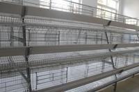 Cage à poules pondeuses de type 4 à 4 niveaux pour 128 oiseaux, cage à poules pour petite ferme avicole à bas prix