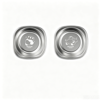 Lot de 2 plats en acier inoxydable 304 pour sushis, bols à sauce, assiettes de style coréen pour condiments