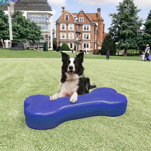 पालतू फिटनेस कुत्ते संतुलन हड्डी अनुकूलित लोगो चपलता प्रशिक्षण केंद्र पालतू जानवरों के लिए स्वास्थ्य और मोबाइल कुत्ते चपलता उपकरण - Product Image 3