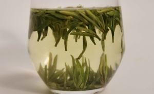 המפעל הסיטונאי איכות העליון אורגנלשון דליל תה ירוק קוצים תה queshe אורגני ירוק רופף תוספת בריאות בריאות - Product Image 3