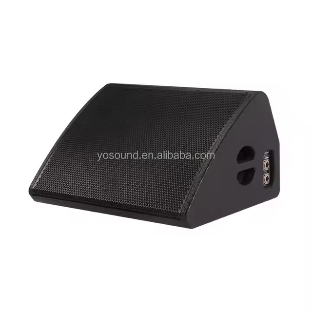 Dual 12 Inch 800W Active/passive Monitors Coaxial Stage Monitor Speaker Sound System Outdoor Speaker Stage Monitor