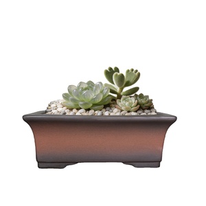Pot Keramik untuk Kaktus & Sukulen, Pot Bonsai Tradisional Persegi Panjang dengan Lubang Drainase untuk Penggunaan Dalam & Luar Ruangan - Product Image 1