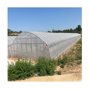 Invernadero Sinok, Cultivadores de Vegetales, Sistema Hidropónico, Agricultura Inteligente, Invernadero - Product Image 6