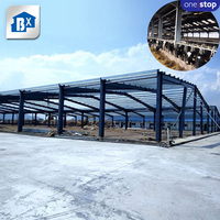Nouveau design de hangar d'élevage laitier, bâtiment d'élevage de bovins, structure en acier préfabriquée