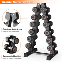 Support d'haltères multifonctionnel fixe vertical à prix d'usine équipement de gymnastique support d'haltères hexagonaux à cadre en A pour poids