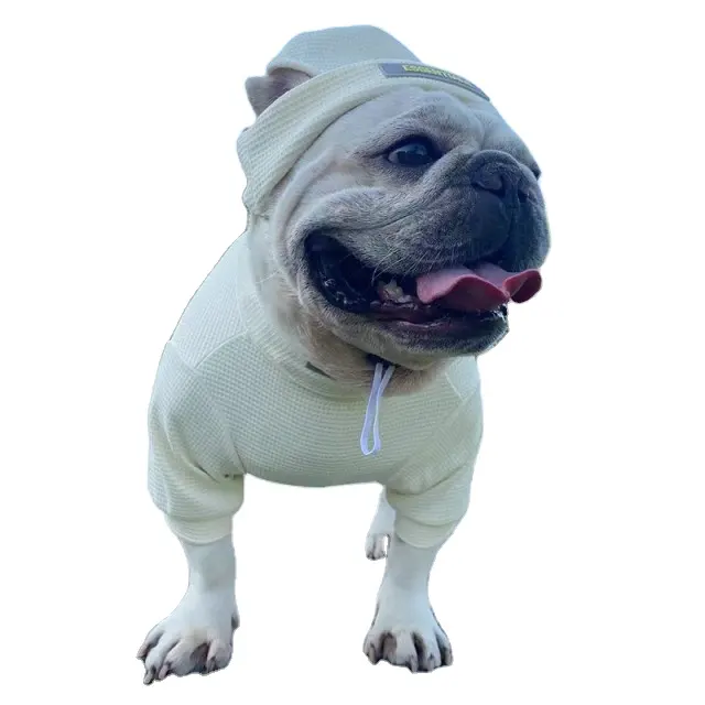 लक्जरी वस्त्र उत्पाद बुटीक डिजाइनर कुत्ते कोट जैकेट लक्जरी पालतू कपड़े फ्रेंच बुलडॉग अनुकरण दुकान फैशन विंटर सीडब्ल्यूडब्ल्यू