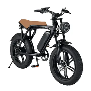 유럽 영국 재고 오프로드 Ebike 눈 전기 자전거 성인 전기 자전거 전자 자전거 1000w 전기 자전거