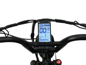 <span class=keywords><strong>2</strong></span> plazas 20 pulgadas 750w 1000w Super Ebike 73 eléctrica grasa neumático de la bicicleta de montaña DE SUSPENSIÓN COMPLETA Land Cruiser Ebike de crucero de playa bicicleta - Product Image 3