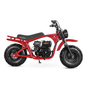 รถมอเตอร์ไซค์ Tao Motor รุ่นใหม่ปี 2023 สำหรับเด็ก รถวิบากขนาดเล็ก 200 ซีซี - Product Image 5