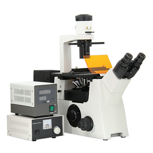 <span class=keywords><strong>Microscope</strong></span> fluorescent trinoculaire de laboratoire, <span class=keywords><strong>prix</strong></span> compétitif, <span class=keywords><strong>microscope</strong></span> à <span class=keywords><strong>fluorescence</strong></span> inversé pour laboratoire médical - Product Image 2