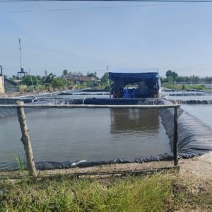 Bâche de bassin extérieur pour élevage de poissons - Product Image 1