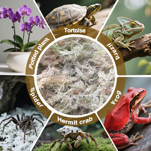 Mousse de Sphagnum Séchée Premium OEM Personnalisée 5kg en Matériau de Verre Compressé pour Reptiles en Vrac - Product Image 3