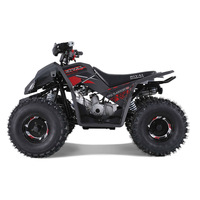 Tao Moteur Atv Utv 4 Portes Frein À Tambour Avant Nouveau Design Sport 5AH Peace Sports Enfants Automatique 125CC 12V 125cc Quad Bike