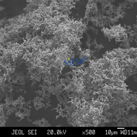 Poudre de fer du fabricant 2.5um de la Chine
