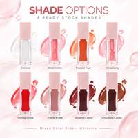Huile à lèvres repulpante RTS 6ml, hydratante, brillance intense, gloss teinté, faible MOQ 2 pièces, vente en gros, logo personnalisé