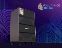 CM-1201 Hochleistungs 15-Zoll-Trolley-Lautsprecher Tragbarer Outdoor-Bühnen-Karaoke-Lautsprecher mit Großem Bass OEM ODM